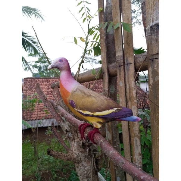 patung jontrot burung punai gading