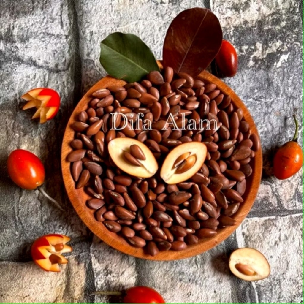 biji sawo kecik 50 biji