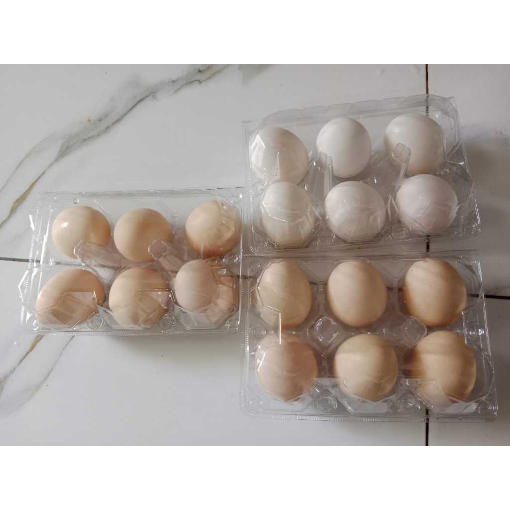 

TELUR AYAM KAMPUNG ASLI FRESH 1 KOTAK ISI 6 BUTIR
