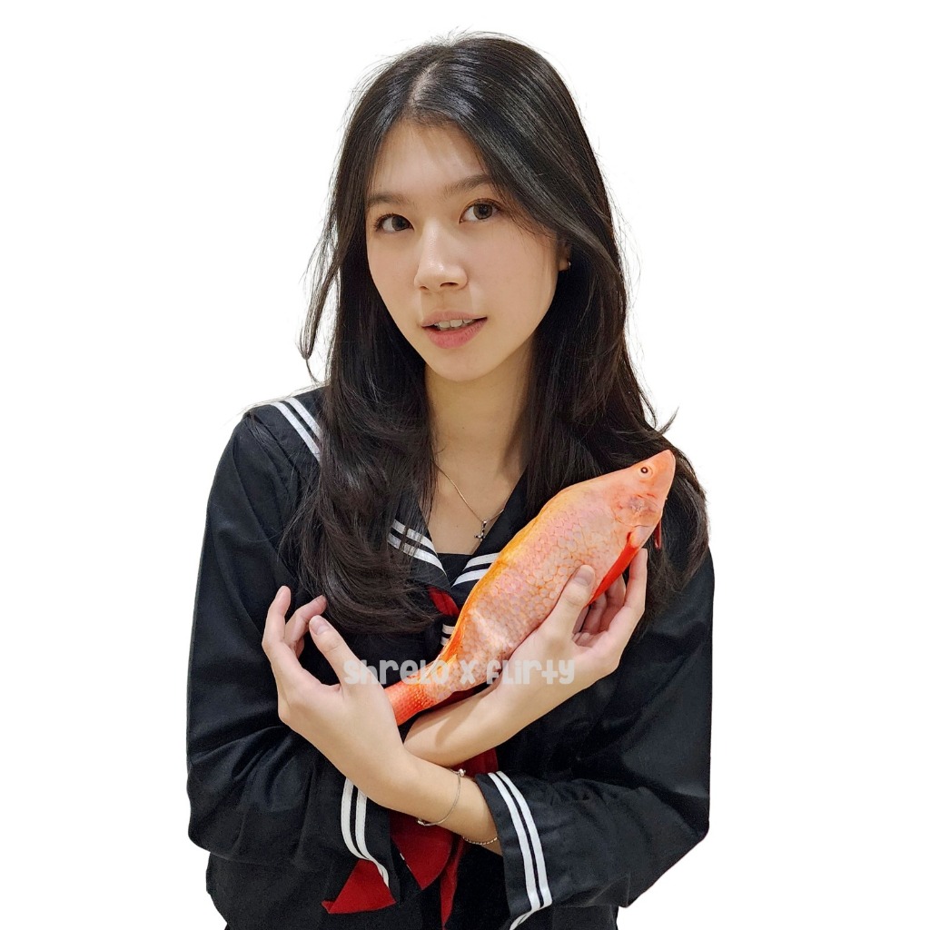 

Tempat Pensil Unik pouch Bentuk Ikan Nila buat sekolah kantor hadiah kado