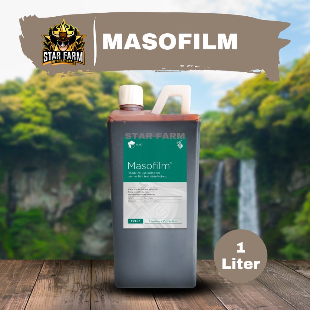 MASOFILM Obat Celup Dipping Ambing Puting Sapi Kambing Perah - STAR FARM