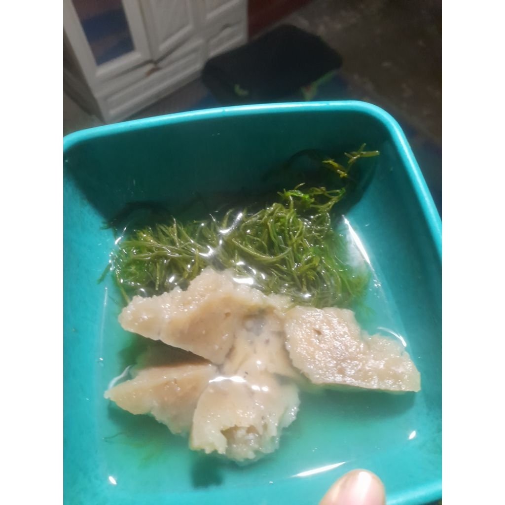 

baso ikan asli, isi 5 pcs