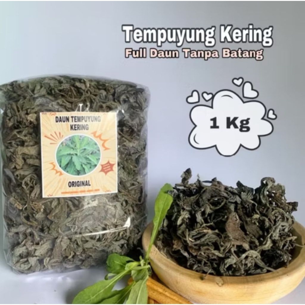 

Daun tempuyung Kering 250 gram