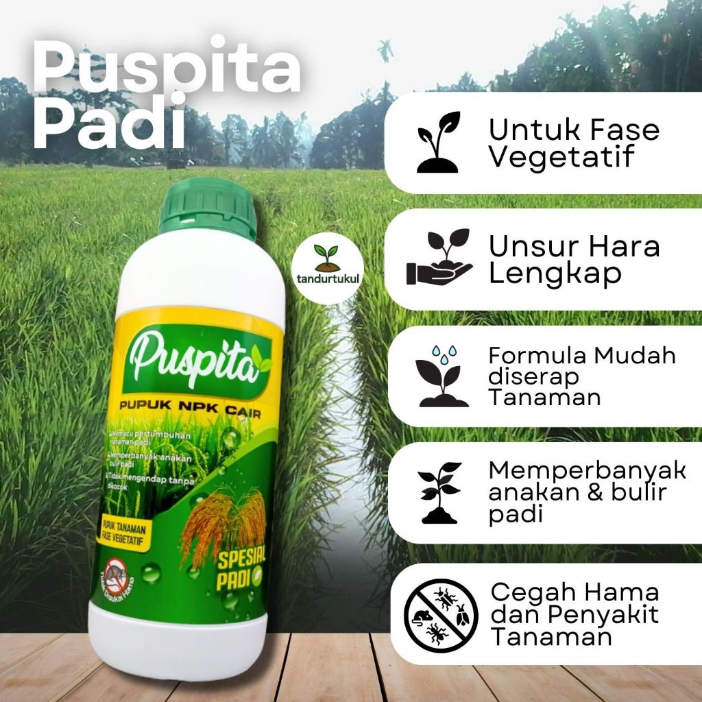Pupuk NPK Cair PUSPITA Padi || Untuk Memperbanyak Anakan Tunas Padi dan Bulir Padi || Cegah Hama