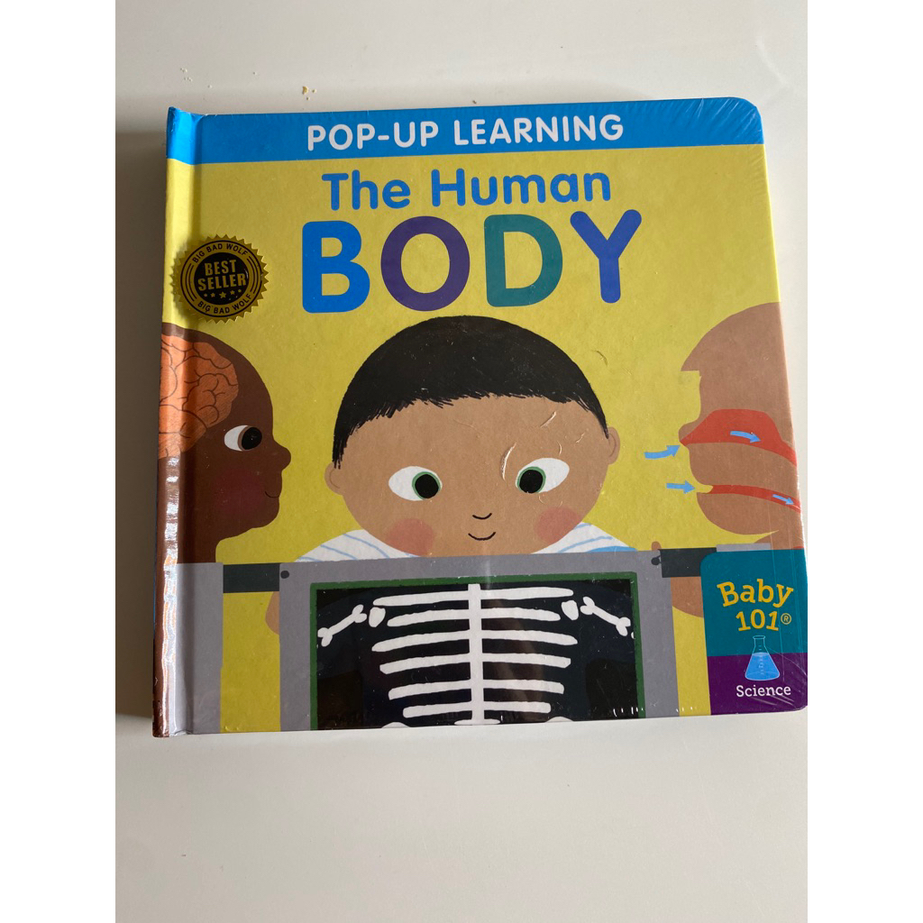 the human body