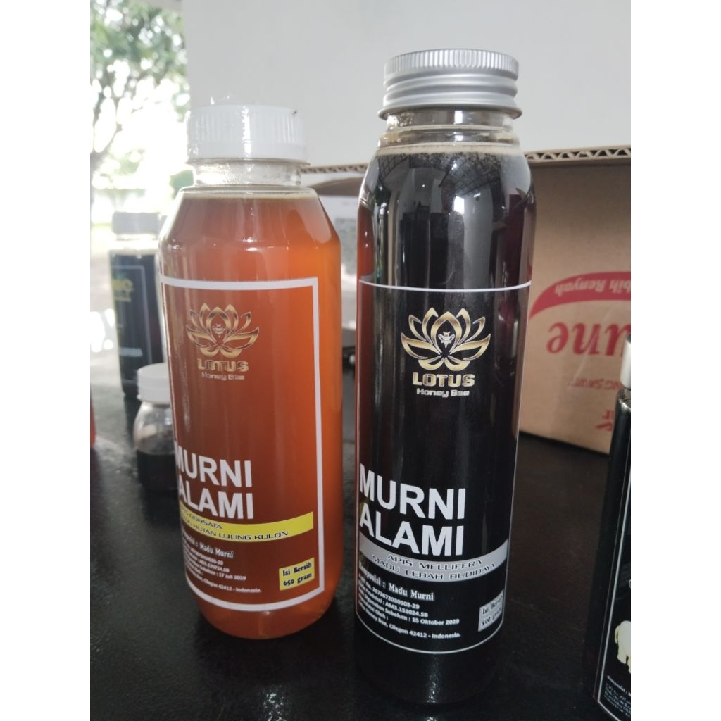 

Madu Hutan Dorsata Kawao