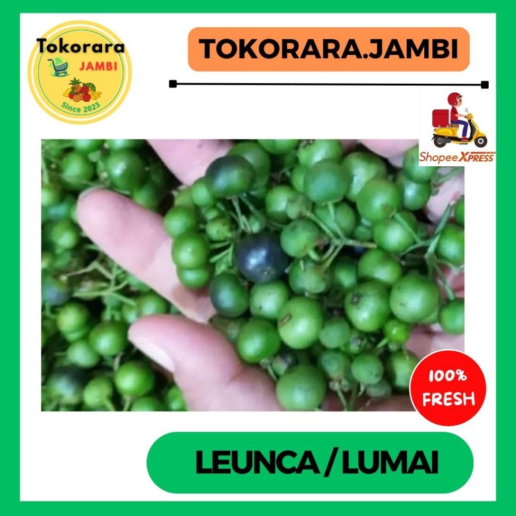 

KIRIM INSTAN Leunca/Lumai-tokorara.jambi