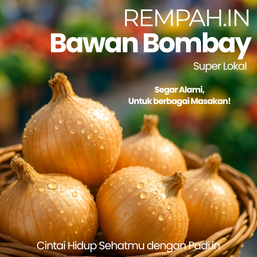 

Bawang Bombay Segar - Pilihan Ideal untuk Masakan Anda