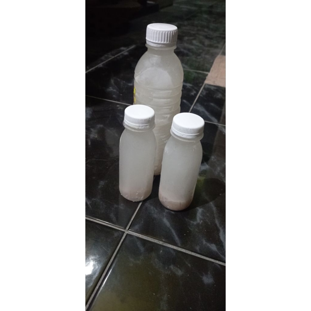 

Sari pati/ekstrak ikan gabus/ikan kutuk 100% MURNI ekstrak/sari pati ikan gabus