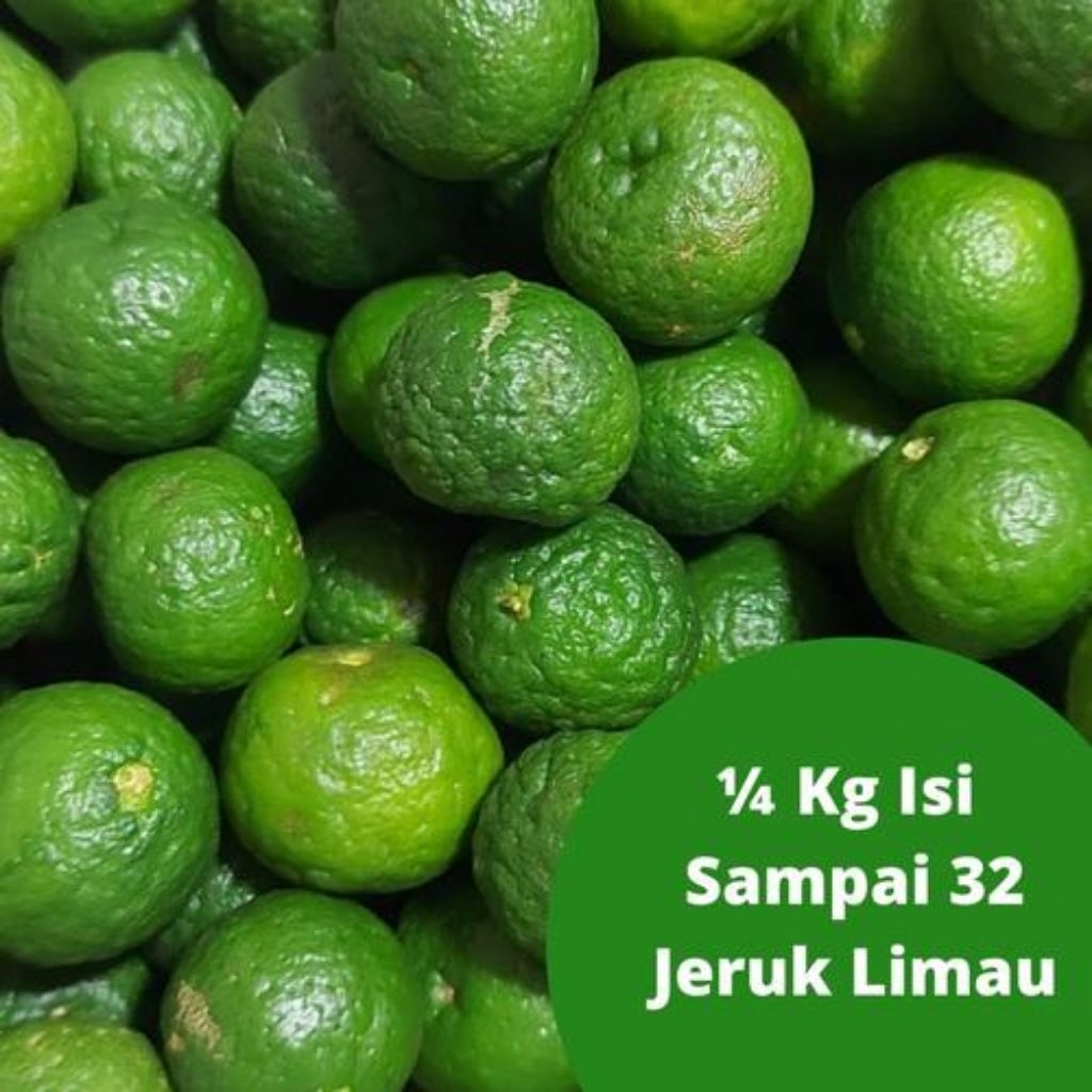

jeruk limau segar 1/4kg