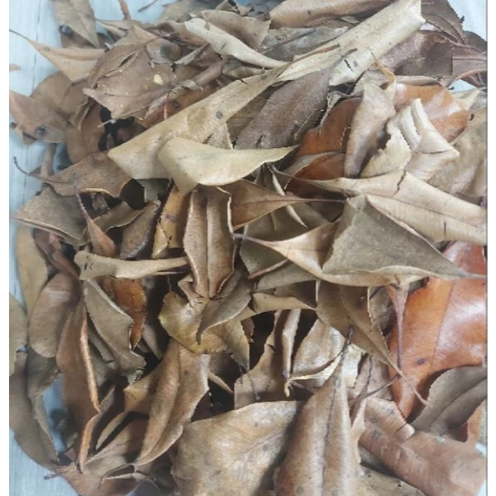 

1 kg Daun Cengkeh Kering / 500 gram Daun Cengkih Kering Alami