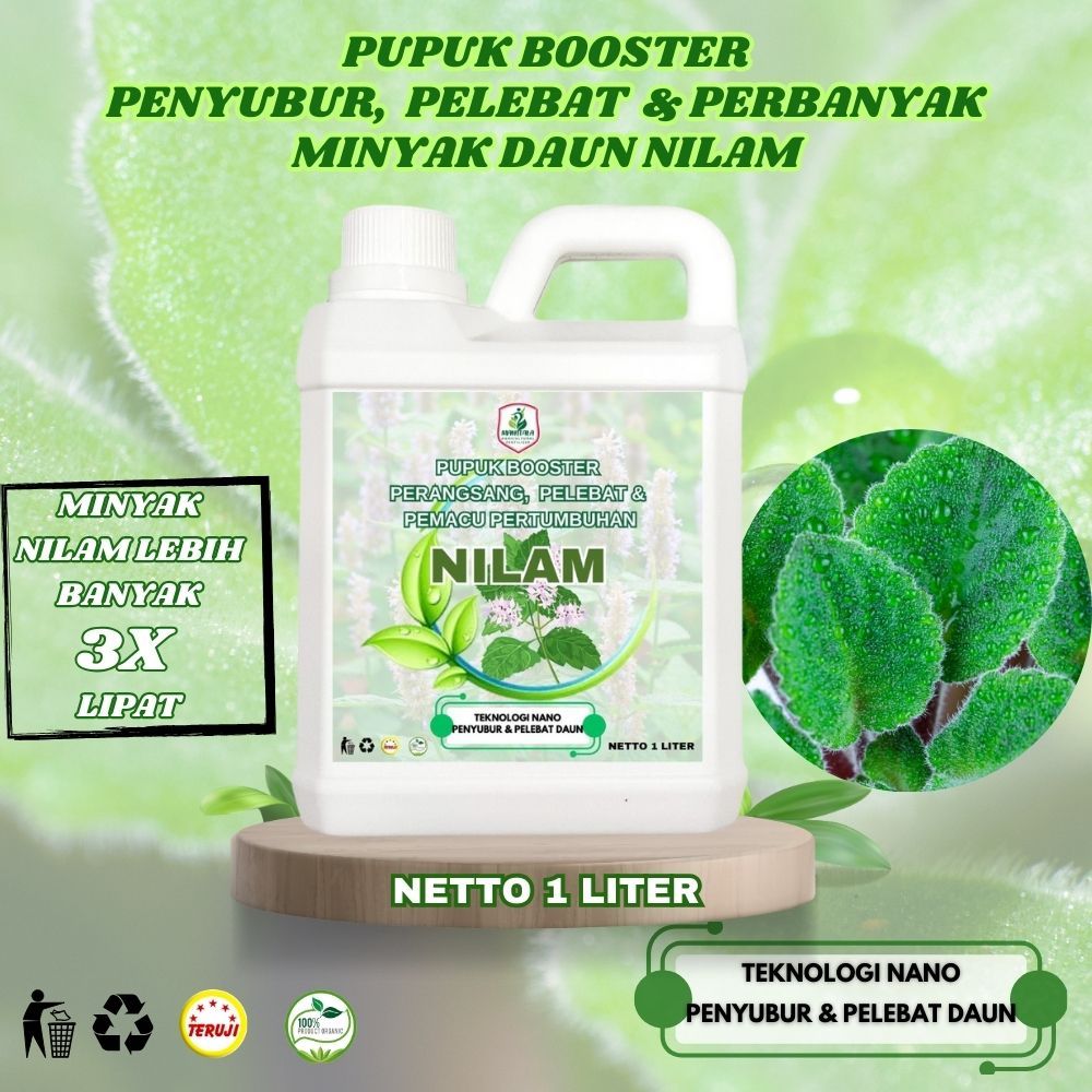 Obat Perbanyak Minyak Daun Nilam Daun Nilam Obat Penyubur Nilam Pupuk Untuk Menaikan Minyak Nilam