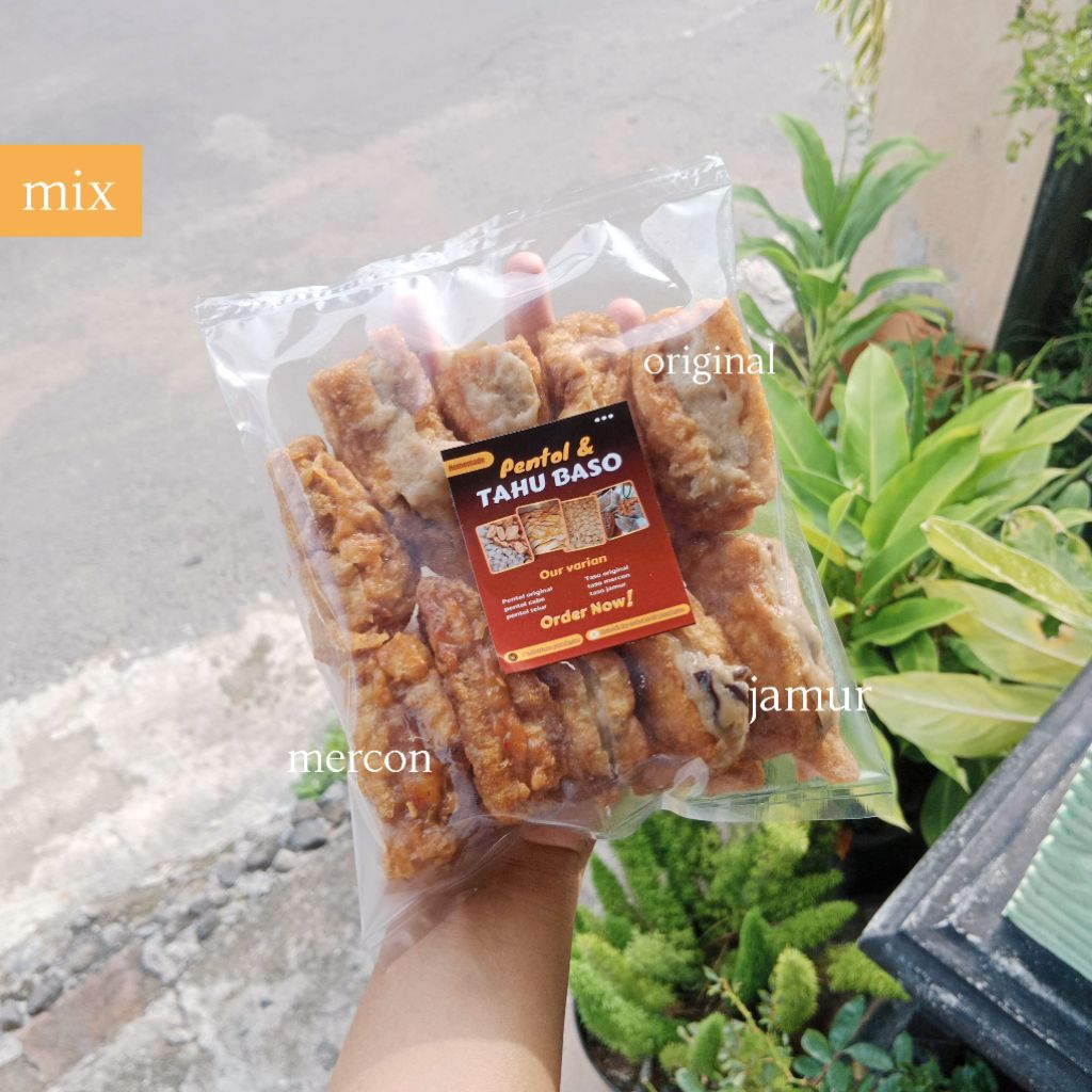 

TASO (TAHU BASO) All varian/mix