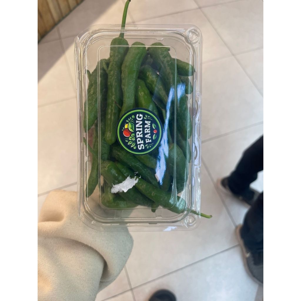 

Cabe Shisito Lokal Fresh 1 Pack