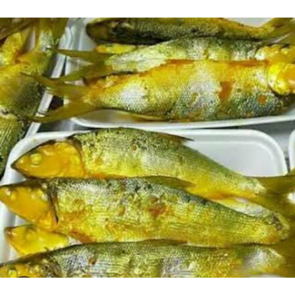 

Bandeng presto per ekor