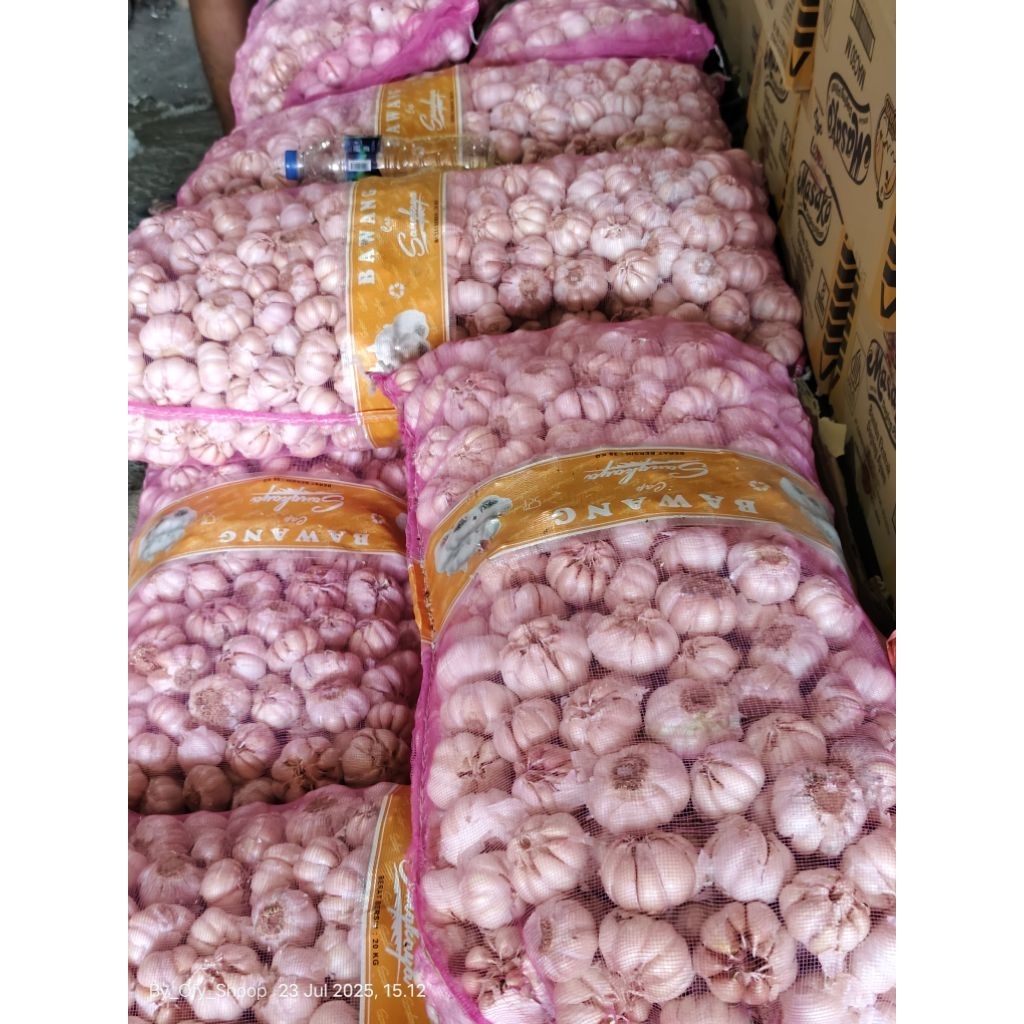 

OS, BAWANG Putih fresh super 500grm