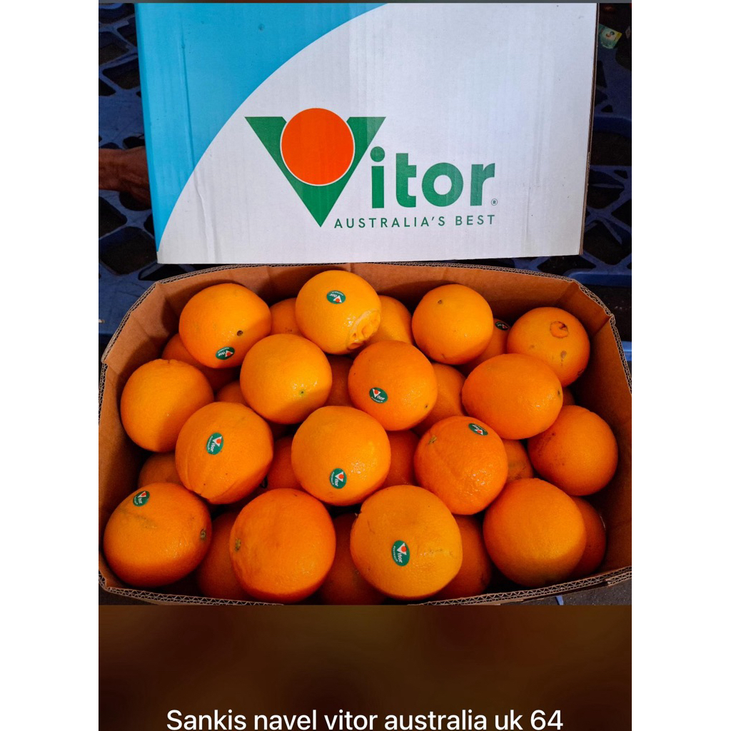 

SUNKIST NAVEL AUSSIE UK 64 VITOR