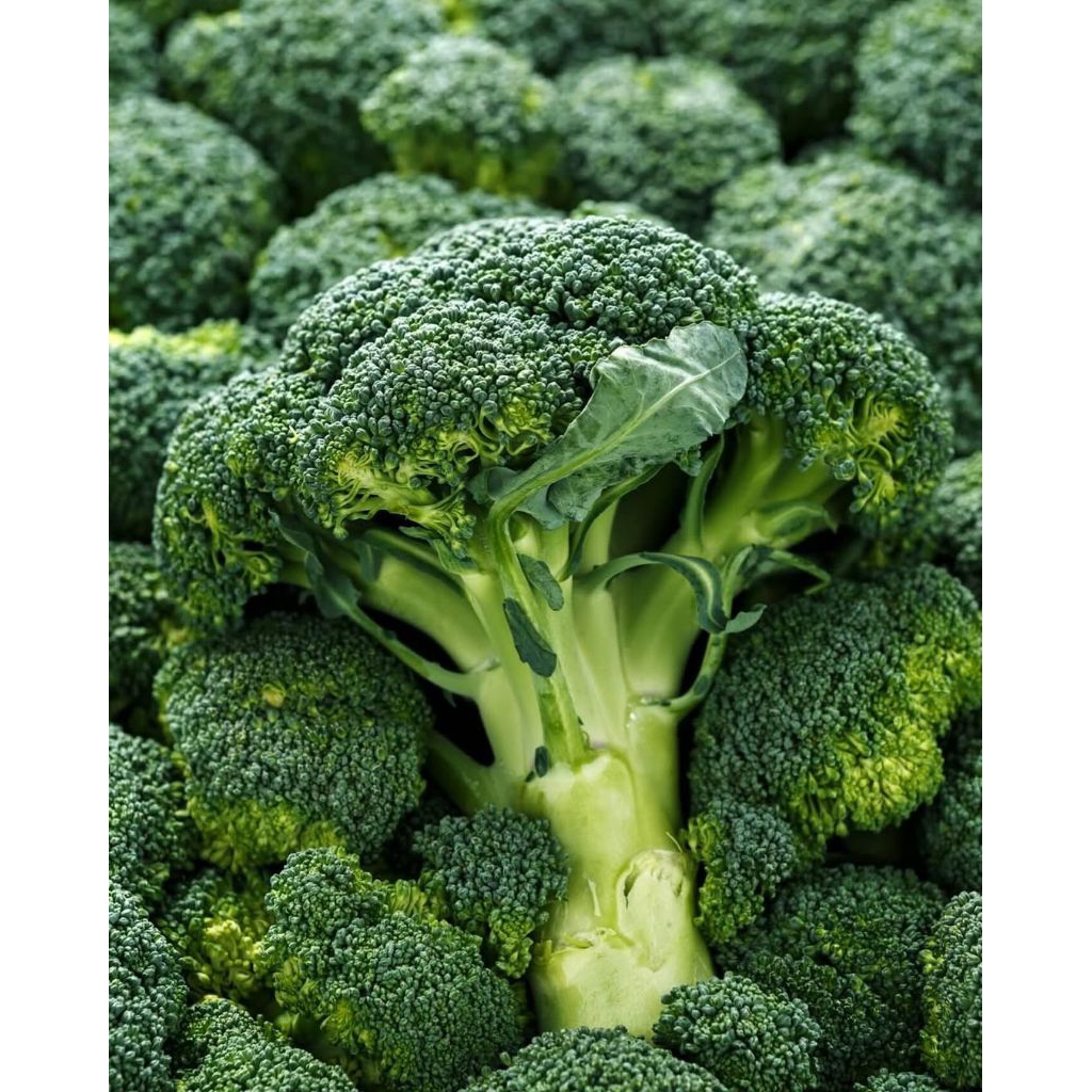 

KIRIM INSTAN Brokoli Fresh