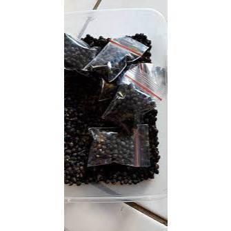 

Buah Angkung Kering Obat Stroke 100 Biji + Bonus 10 Biji