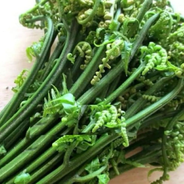 

DAUN PAKIS MUDA 1 KG / SAYUR PAKIS