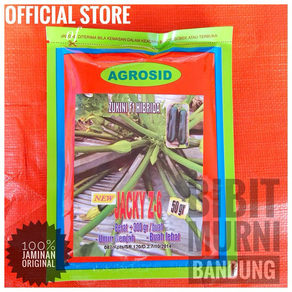 BENIH BIBIT ZUKINI CUKINI UNGGUL JACKY Z-6 50 GRAM ORIGINAL PACK
