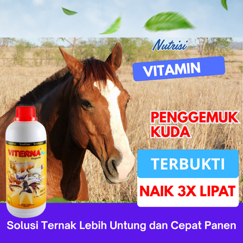 Vitamin Kuda Cepat Besar Vitamin Kuda Lahap Makan Vitamin Mempercepat Pertumbuhan Kuda Hasil Panen M