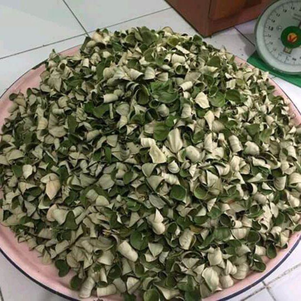 

Daun Bidara Kering Asli Bidara Arab Bukan Bidara Lokal 20gr - 50gr