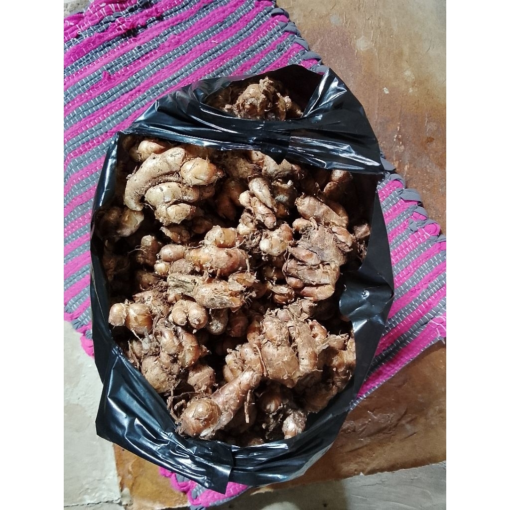 

1kg kencur tanjung lesung banten tua segar