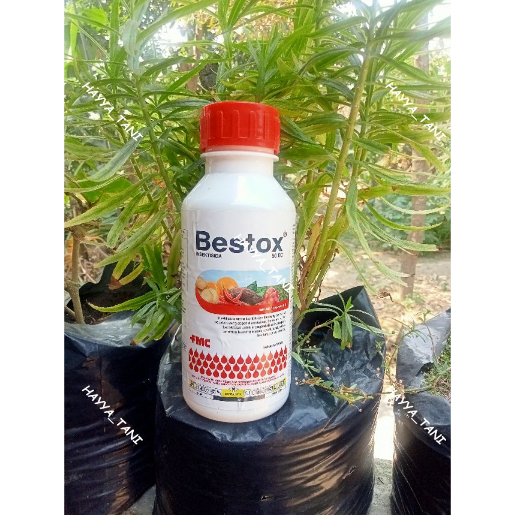 Insektisida BESTOX 50EC