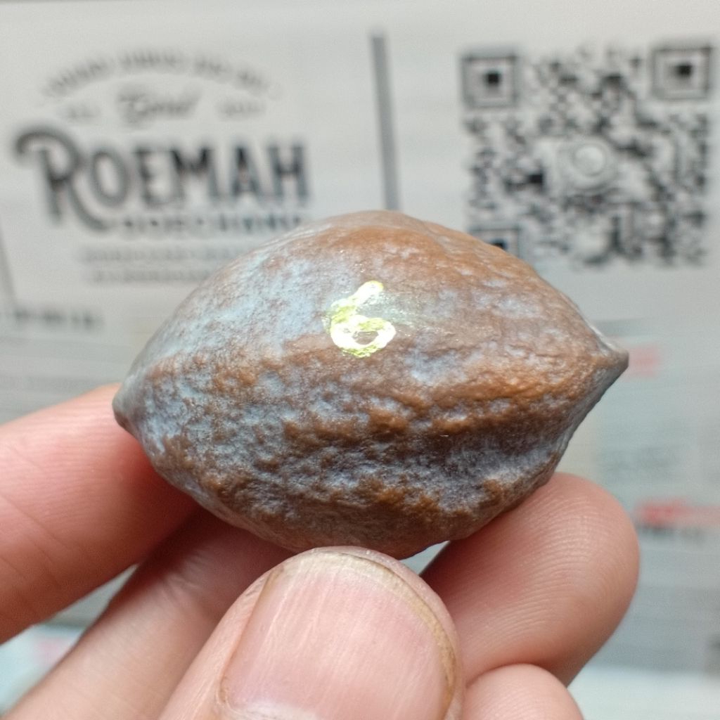 Muncang Adu Jayanti x Jawa Genjutsu kode 6