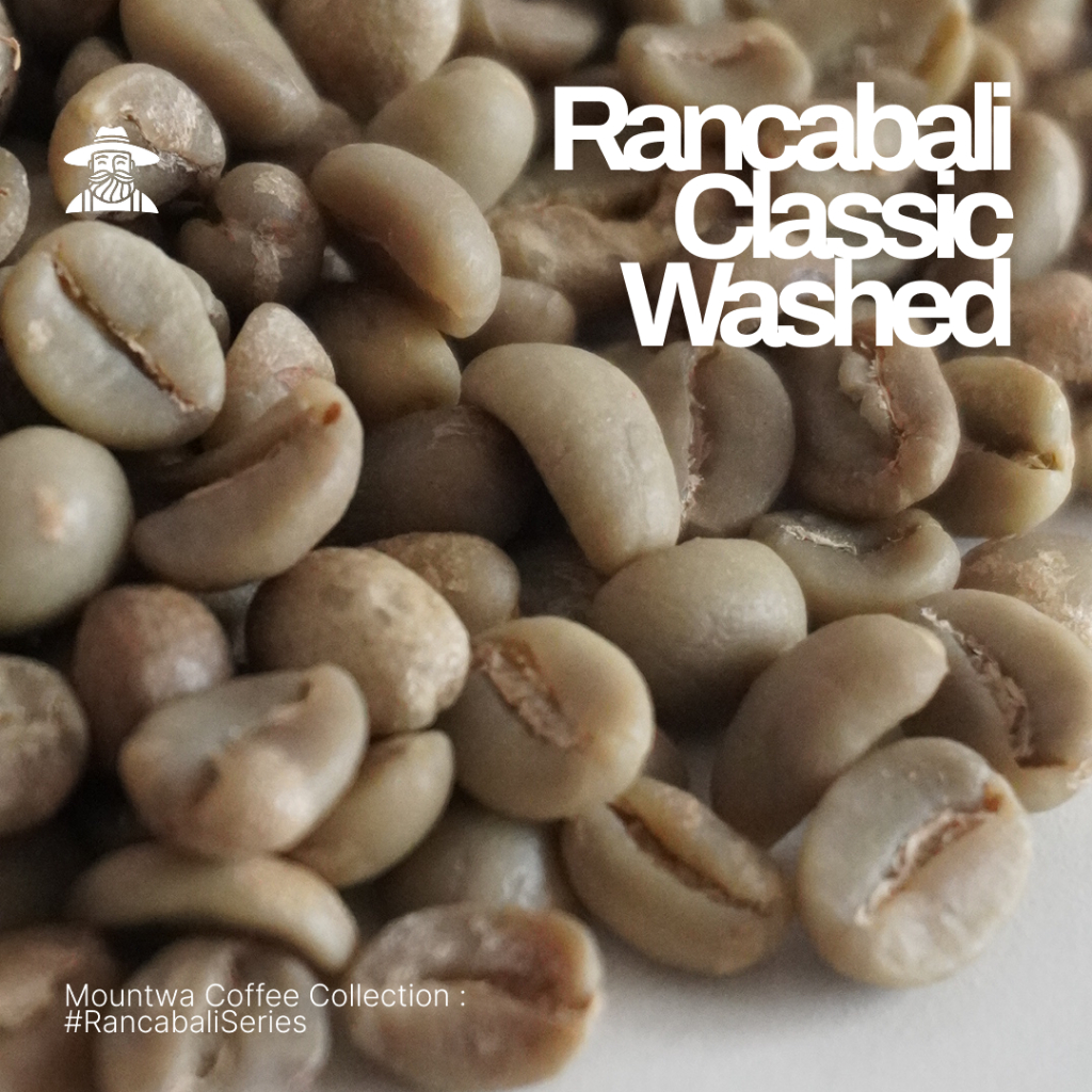 

green bean arabika Full Wash Rancabali/ Biji Kopi Mentah 1kg