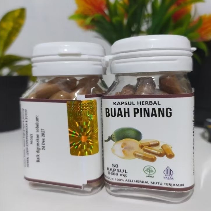 

kapsul buah pinang murni 100%
