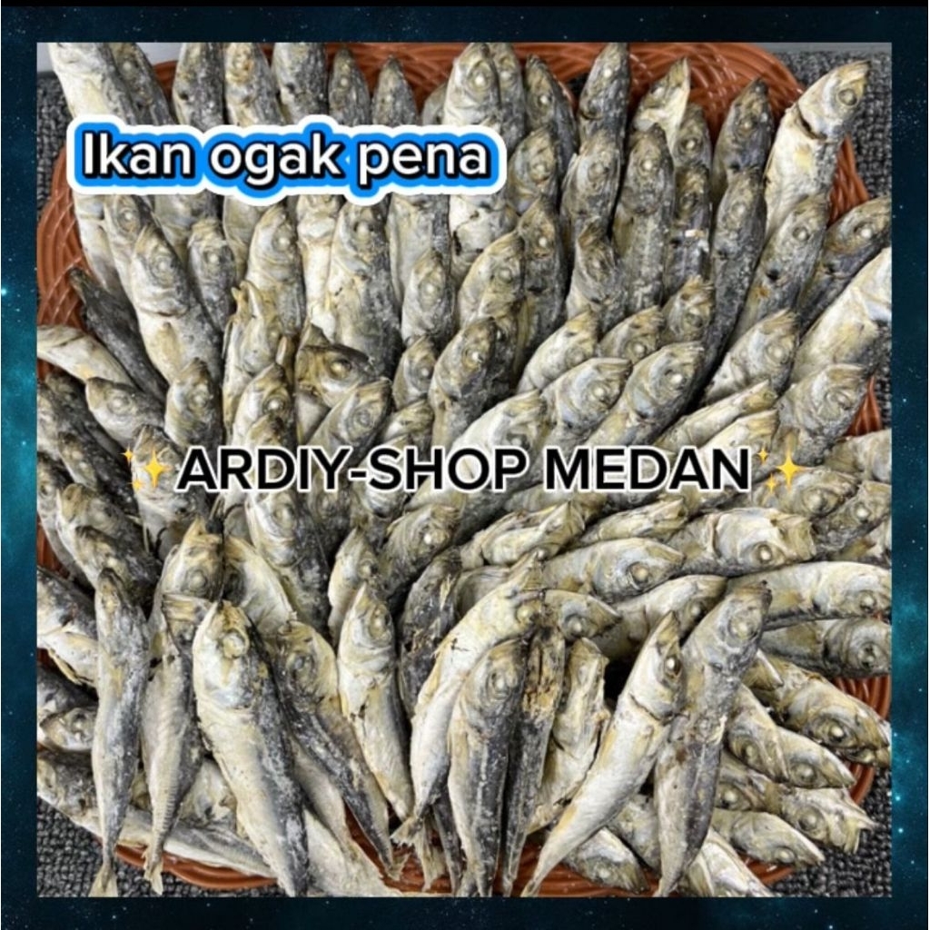

IKAN ASIN OGAK PENA REBUS ENAK DAN KERING