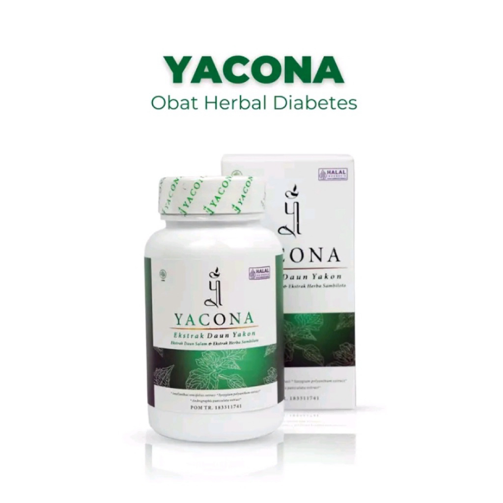 YACONA suplemen diabetes herbal