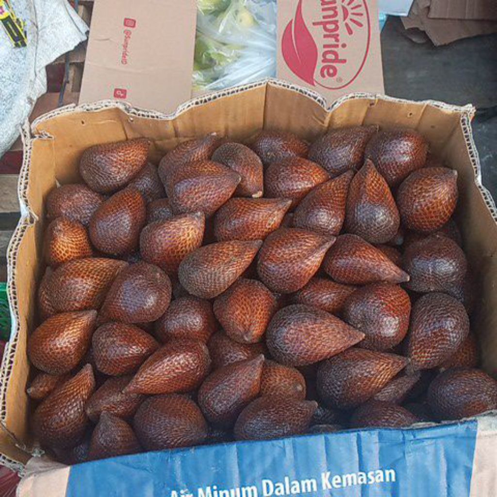 Salak pondoh 1 Dus
