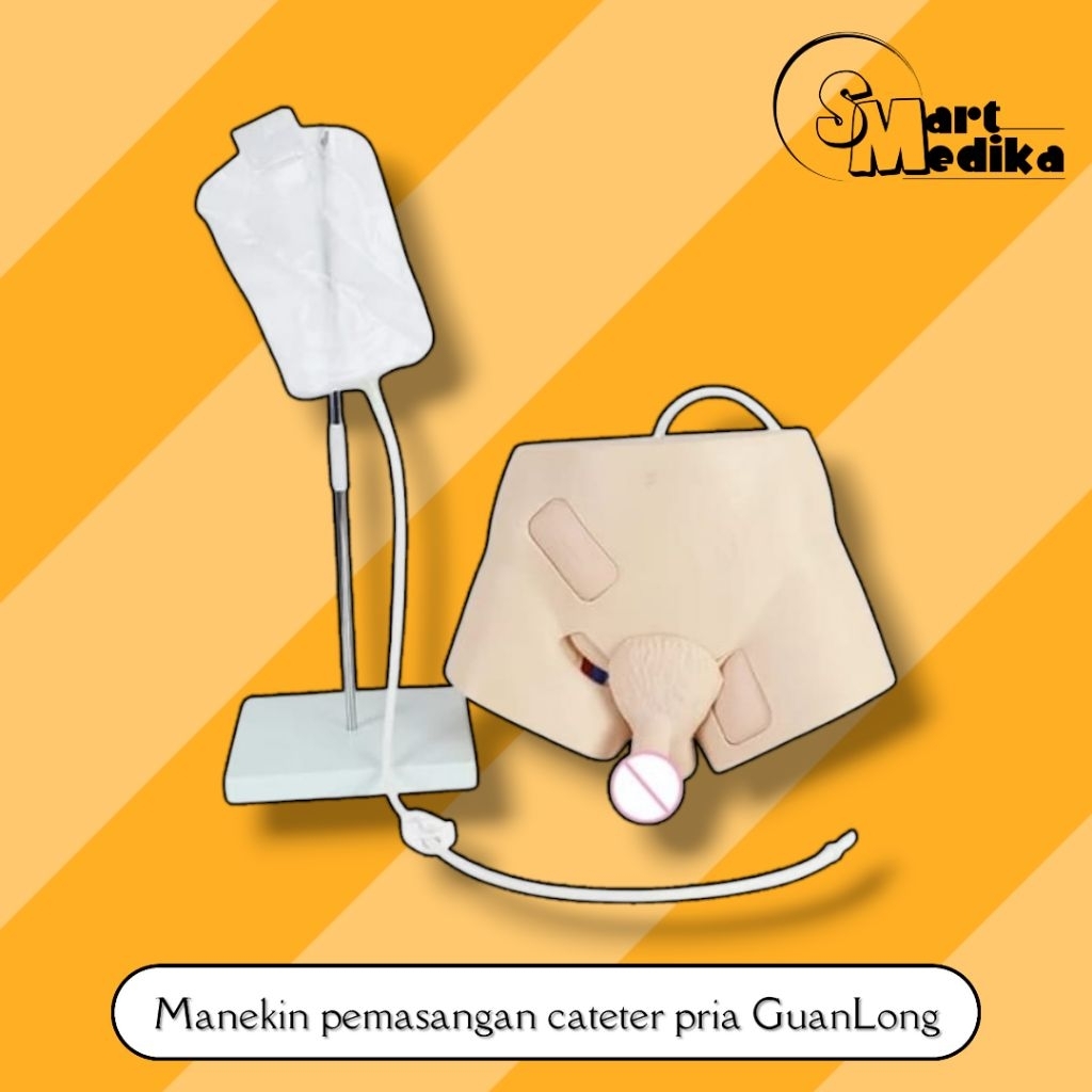 PHANTOM MANEKIN PEMASANGAN CATETER PRIA GUANLONG GL-8405 / MANIKIN CATETER