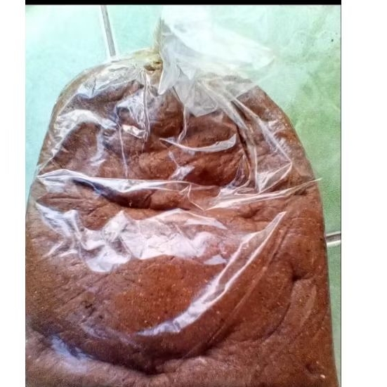 umpan geleng cacing Brutal siap pakai untuk galatama lele