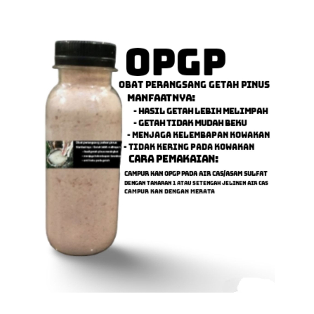 OPGP perangsang untuk getah pohon pinus