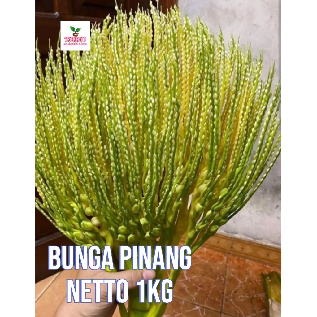 

bunga pinang atou kembang jambe 1 kg