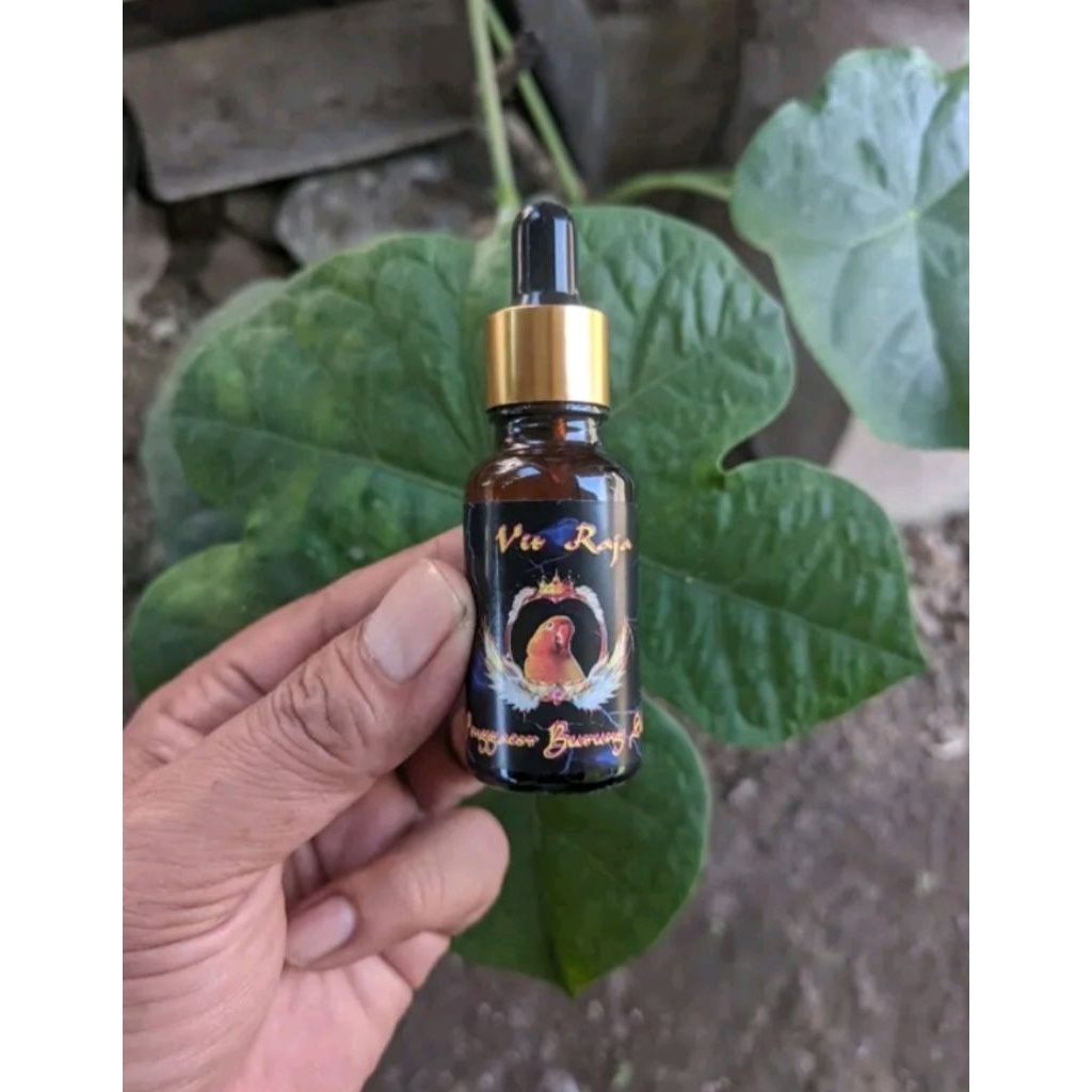 vitamin penggacor burung lovebird