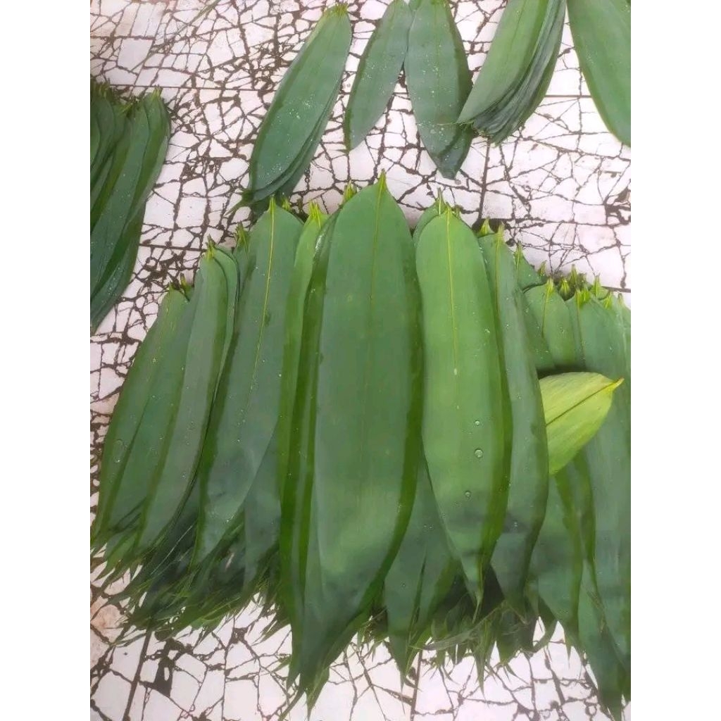 

daun bambu cocok buat bakcang 1iket 50lembar.