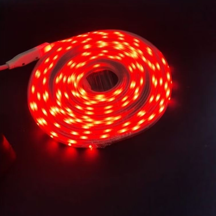 Lampu LED Merah Putih 17an Paket Selang Panjang