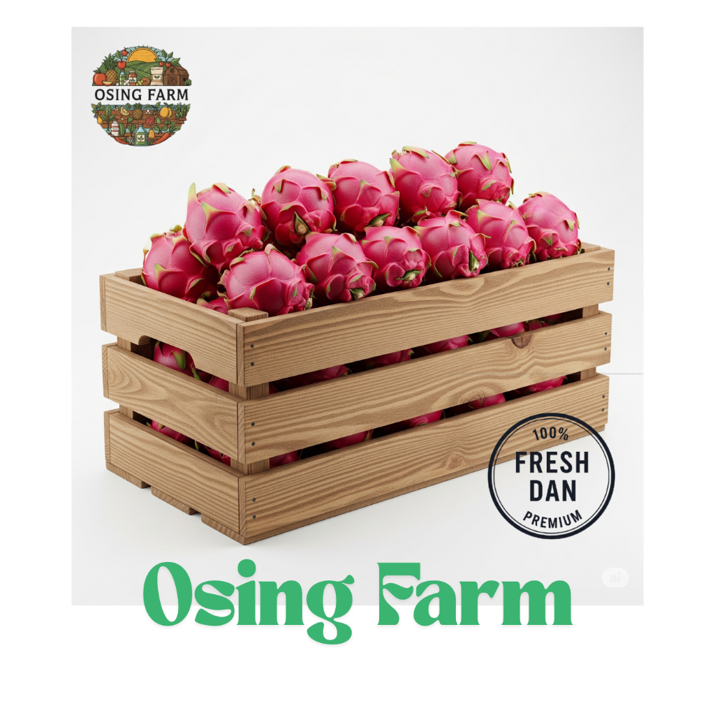 

Buah Naga Merah Paket 25 Kg Grade S Premium | Petik Langsung | Free Packing Kayu | Manis & Lembut