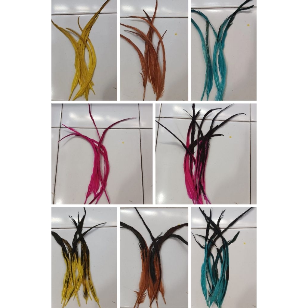 ekor bulu ayam jago lancur warna-warni isi dan babon 100 pcs