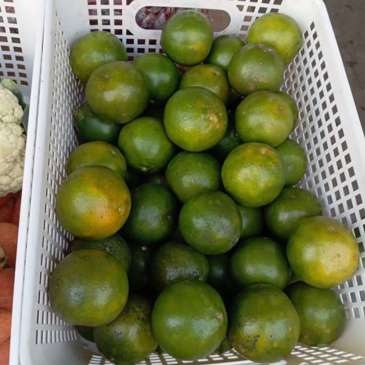 

jeruk peras segar 500 gram