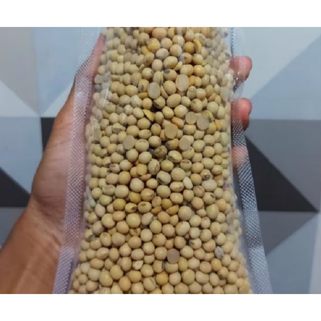 

BIJI KEDELAI 1KG bisa untuk kecambah dan Tempe