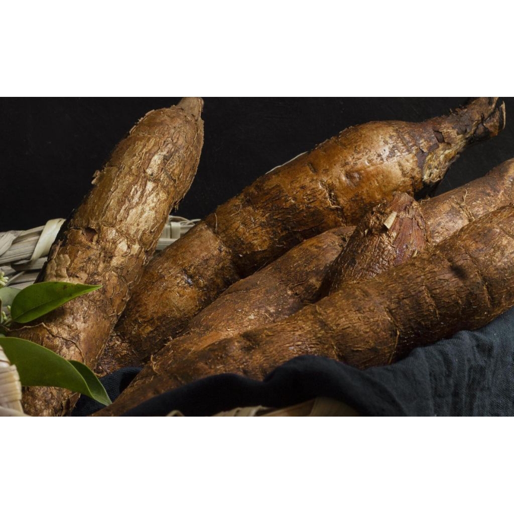 

Singkong Segar, Harga Terjangkau! (1kg)