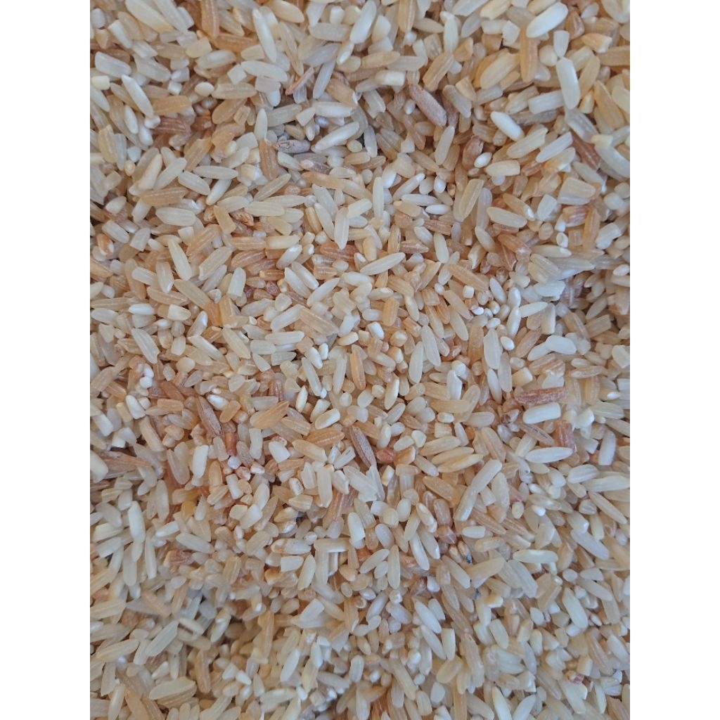 

beras rijek beras sortir