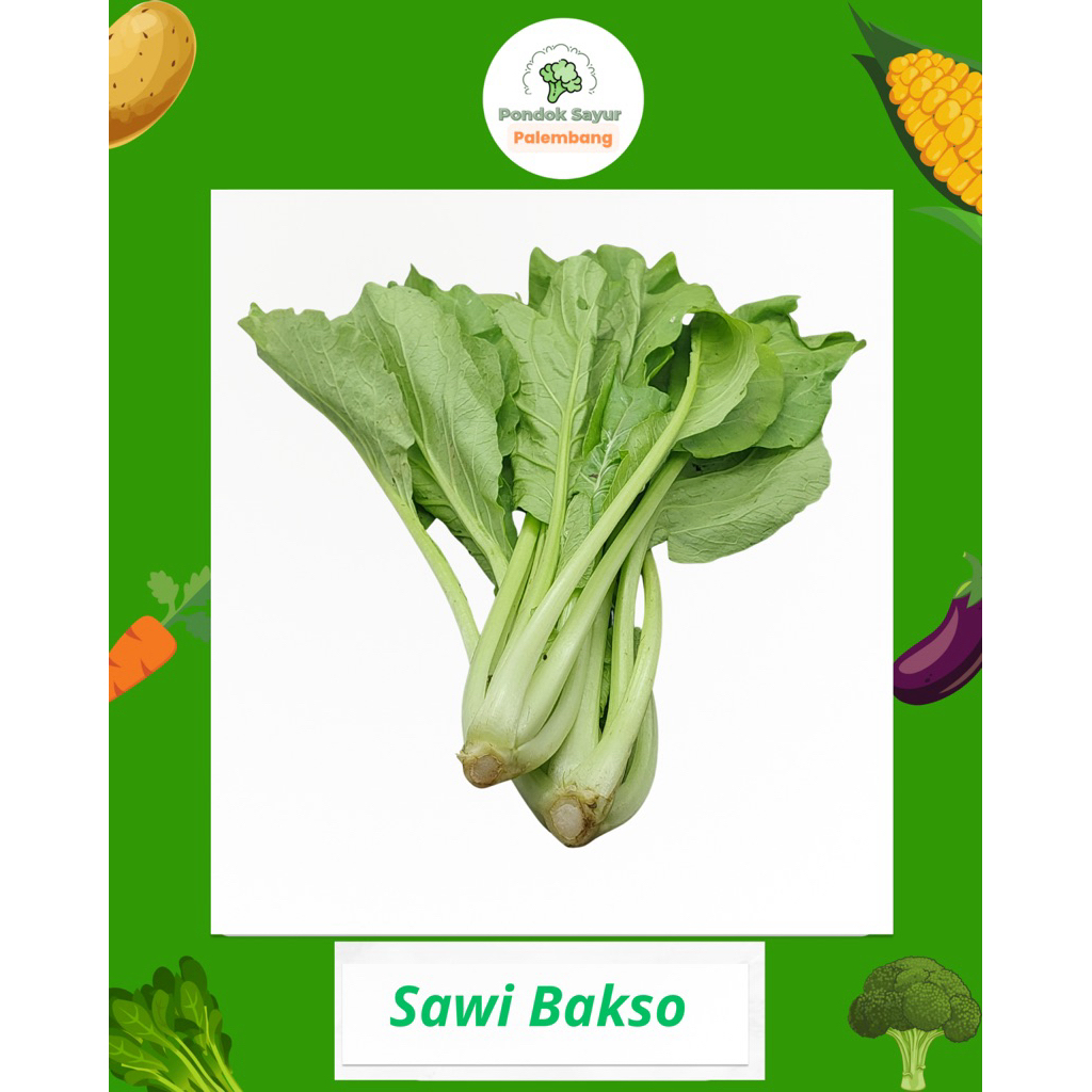 

SAWI BAKSO PONDOK SAYUR FRESH PALEMBANG