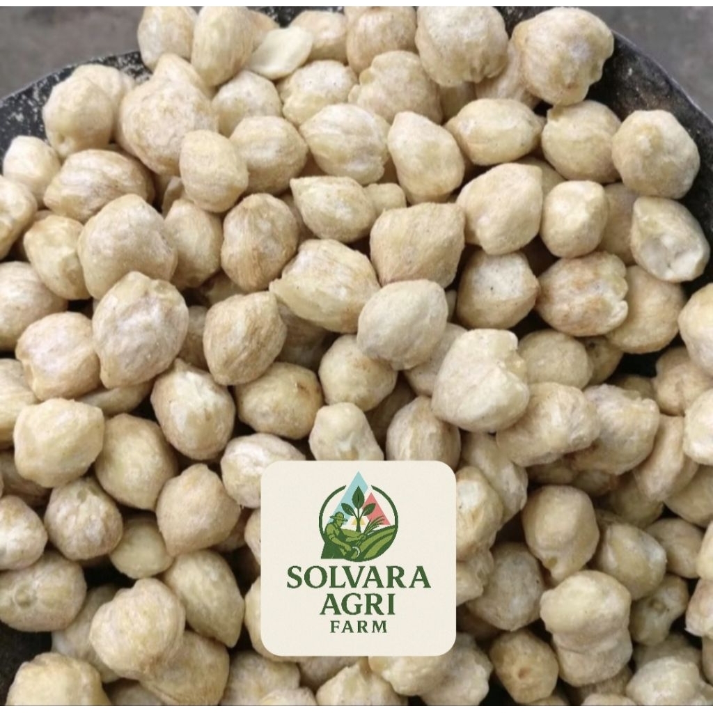 

Kemiri Bulat Utuh Super Fresh Siap Pakai Kemasan 500gram dan 1Kg